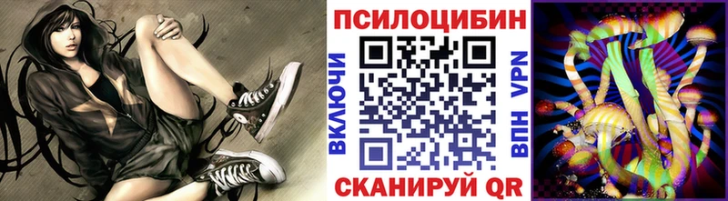 что такое наркотик  маркетплейс состав  OMG ССЫЛКА  Галлюциногенные грибы Cubensis  Володарск 