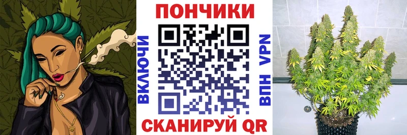 Конопля гибрид Володарск